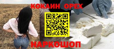 индика Ярославль