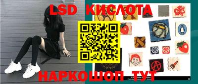 индика Ярославль