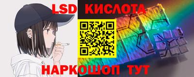 индика Ярославль