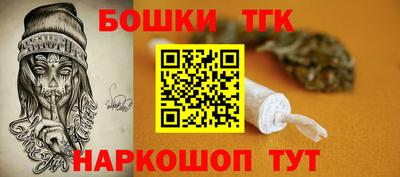 индика Ярославль