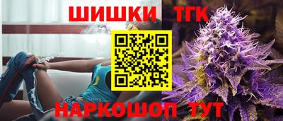 индика Ярославль