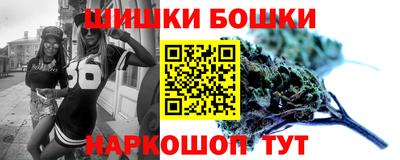 индика Ярославль