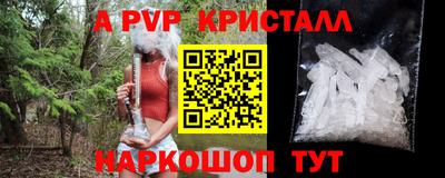 индика Ярославль