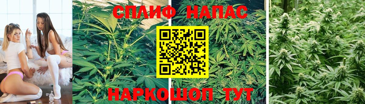 МАРИХУАНА семена  Вход с VPN  МАРИХУАНА SATIVA & INDICA  МАРИХУАНА конопля  МАРИХУАНА Ganja  Звенигород 
